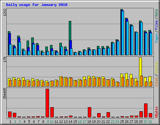 Daily usage for January 2010