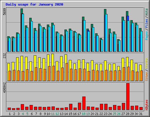 Daily usage for January 2020