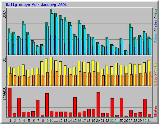 Daily usage for January 2021