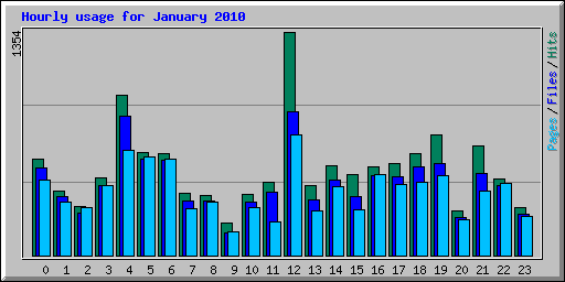 Hourly usage for January 2010