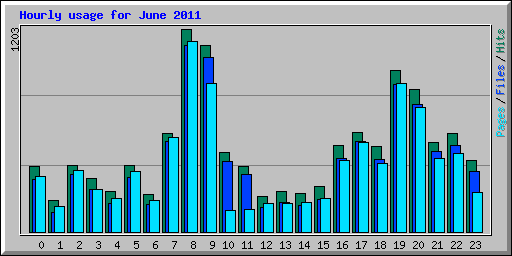 Hourly usage for June 2011