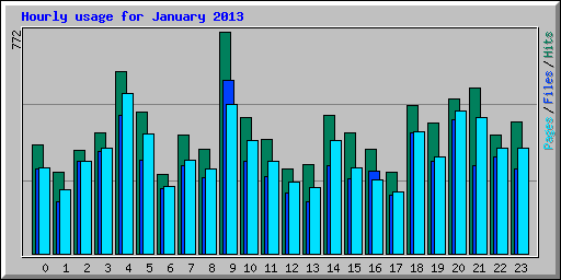 Hourly usage for January 2013