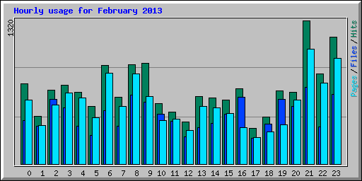 Hourly usage for February 2013