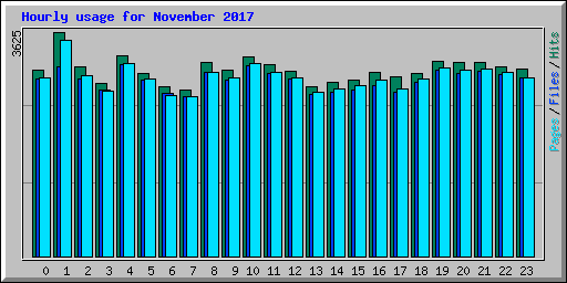 Hourly usage for November 2017