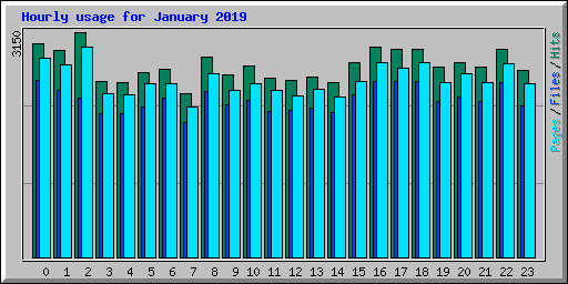 Hourly usage for January 2019