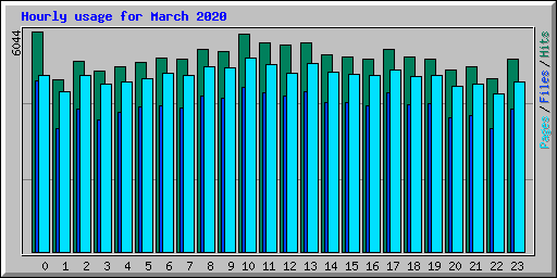 Hourly usage for March 2020