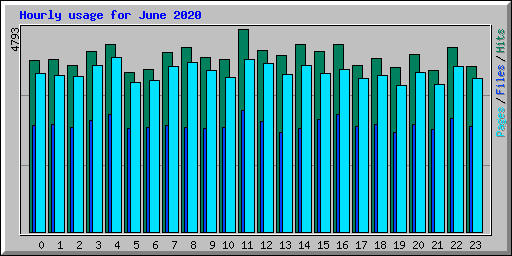 Hourly usage for June 2020