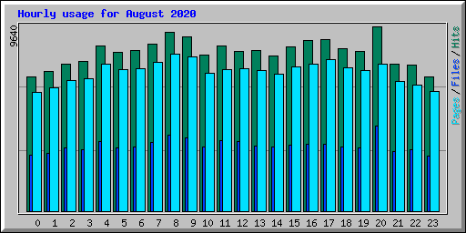 Hourly usage for August 2020