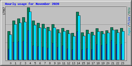 Hourly usage for November 2020