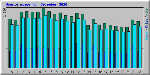 Hourly usage for December 2020