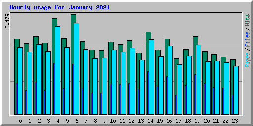 Hourly usage for January 2021