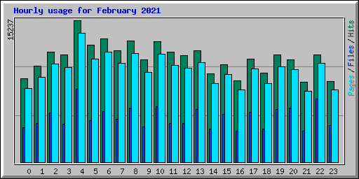 Hourly usage for February 2021