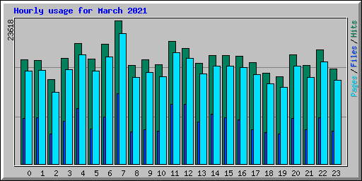 Hourly usage for March 2021