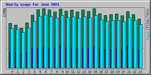 Hourly usage for June 2021