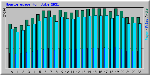 Hourly usage for July 2021