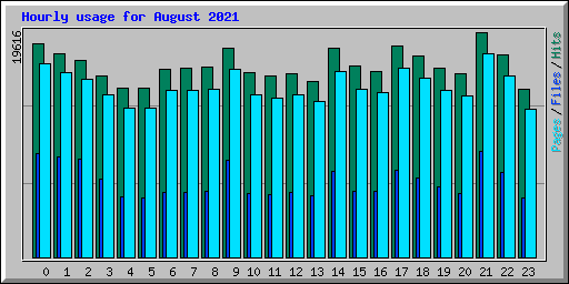 Hourly usage for August 2021