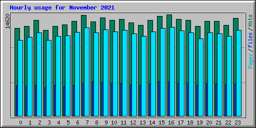 Hourly usage for November 2021