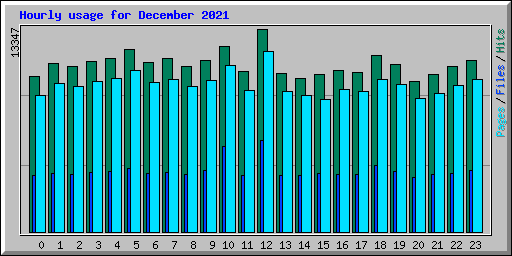 Hourly usage for December 2021