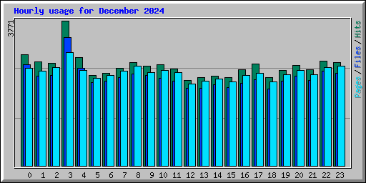 Hourly usage for December 2024