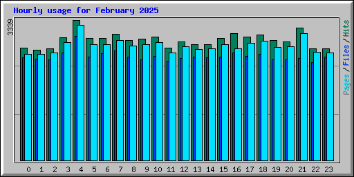 Hourly usage for February 2025