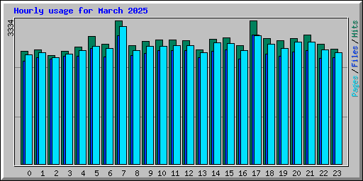 Hourly usage for March 2025