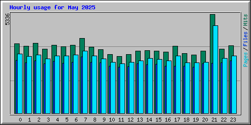 Hourly usage for May 2025