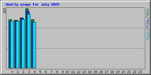 Hourly usage for July 2025