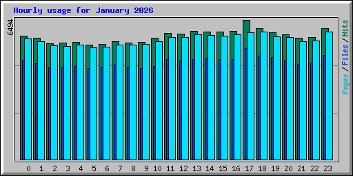 Hourly usage for January 2026
