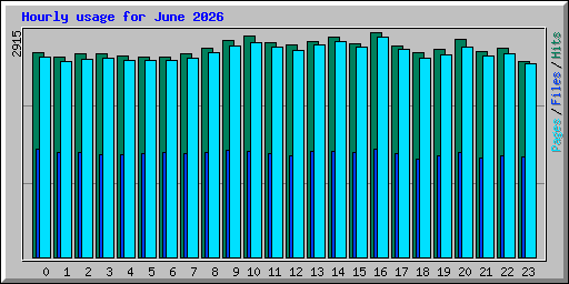 Hourly usage for June 2026