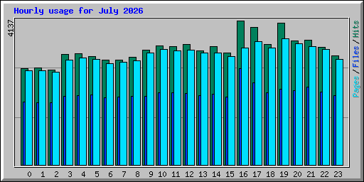 Hourly usage for July 2026